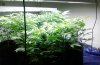 thumbnail_1213171021.jpg