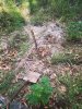 IMG_20171215_175638.jpg