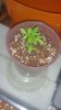 20171217_221157.jpg