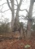20171217_190316.jpg 20171217_190316.jpg