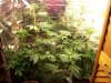 100_0373.jpg