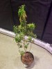 20171217_134316.jpg