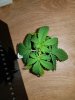 20171218_085604.jpg