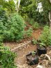 IMG_20171207_084003.jpg