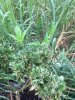 8EF0F6B8-02AE-4E10-92F2-2B85F7401CBD.jpeg