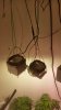 20171223_085233.jpg