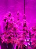 20171223_193503.jpg