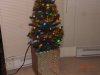 PC230017.JPG