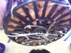 IMG_20171223_204200.jpg