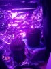 IMG_20171227_112342.jpg