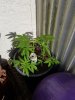 20171228_182849.jpg