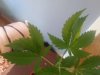 20171229_120542.jpg
