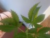 20171229_120538.jpg