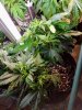 20171231_125907.jpg