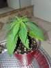 20171231_083609.jpg