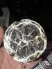 20171231_140811.jpg