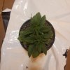 downloadfile-8.jpg