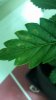 20180103_144346.jpg 20180103_144346.jpg