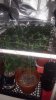 20171224_094414.jpg