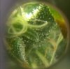 WP_20180103_005.jpg