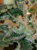 20180103_173308.jpg