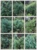 58F0FFBC-D4B9-460D-8D95-FF32DCD9CA71.jpeg