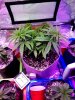 mir_20180104_225813.jpg mir_20180104_225813.jpg