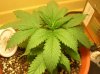 march 09 053.jpg
