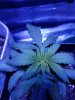 20180108_065616.jpg