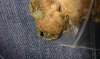 20180109_214049.jpg