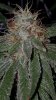 20180110_081713.jpg