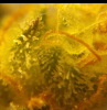 SmartSelectImage_2018-01-11-17-25-40.png.png