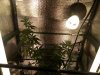 IMG_20180114_184503.jpg