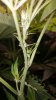 20180115_095521.jpg