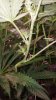 20180115_095349.jpg