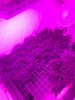 6205761C-7F1D-4FDA-8341-2E1E16153E81.jpeg