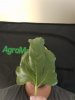 IMG_20180117_050721.jpg