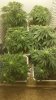 20180117_095253.jpg