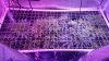 20180118_105113.jpg