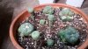 20180117_203446.jpg
