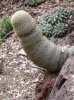 b363ebf68a60c136cd09e6904a22d782--adult-humor-mother-nature.jpg