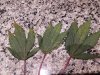20180122_135327.jpg