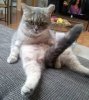 images (10).jpeg