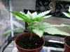 2018-01-24 03.27.23.jpg
