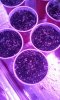 20180124_012846.jpg 20180124_012846.jpg