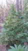 20180125_184829.jpg