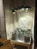 01.25.18_room-day1.jpg 01.25.18_room-day1.jpg