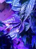 20180127_122145.jpg