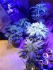 20180127_122219.jpg