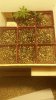 20180128_082522.jpg